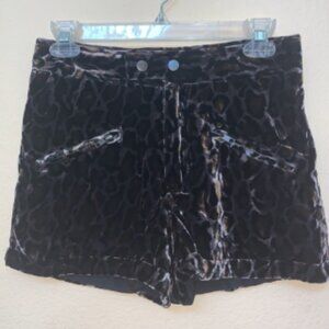 Simone by Katie Nehar Velvet Leopard Print Shorts